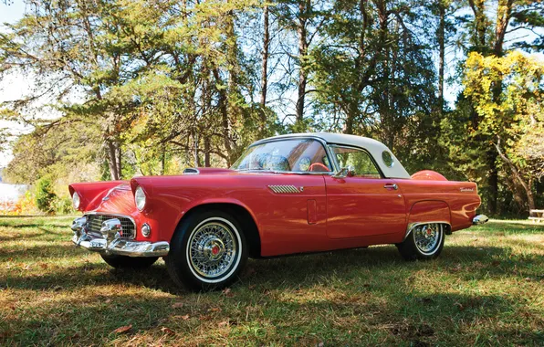 Ford, Форд, 1965, ретро автомобили, Thunderbird, retro cars, Ford Thunderbird Convertible