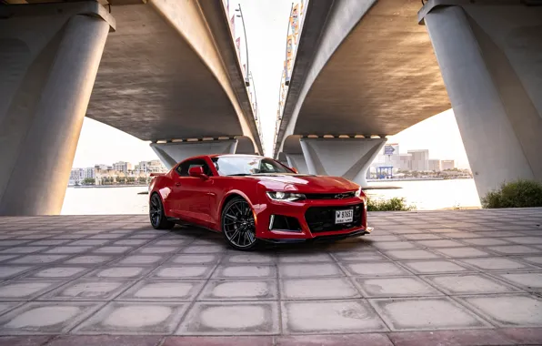 Картинка Chevrolet, Camaro, muscle car, Chevrolet Camaro ZL1, front view