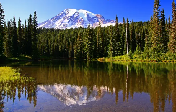Картинка лес, горы, природа, река, Mt.Rainier National Park, WA Reflection Lake