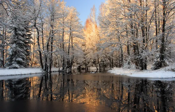 Зима, вода, снег, деревья, природа, фото, лёд