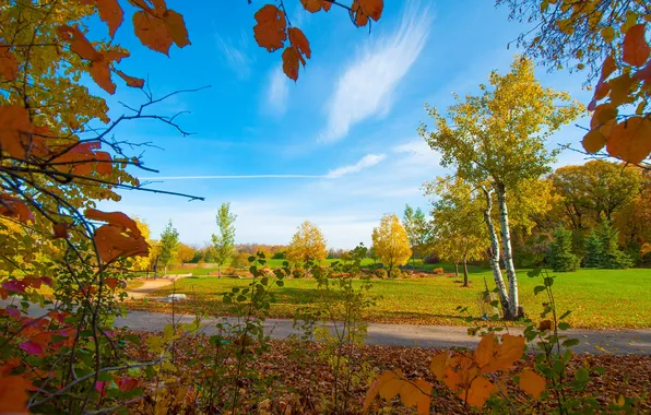 Картинка осень, небо, листья, деревья, парк, дорожка