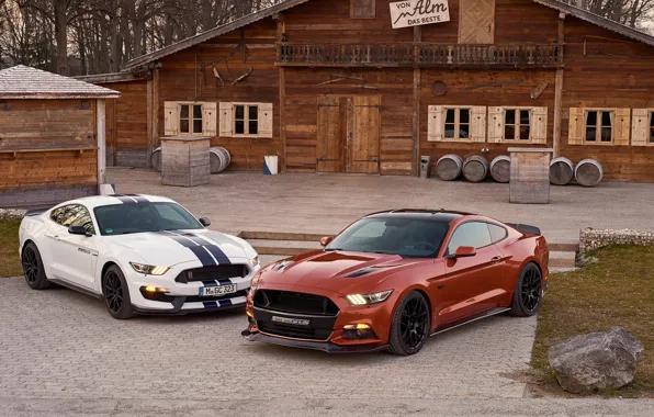 Картинка Mustang, Ford, мустанг, форд, Geiger