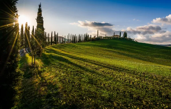 Поле, деревья, закат, Италия, Italy, кипарисы, Тоскана, Tuscany