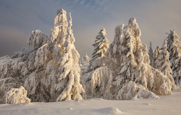 Картинка зима, снег, деревья, пейзаж, природа, ели, храм, монастырь