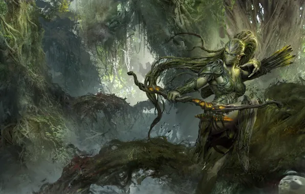 Лес, Ranger, dongbiao lu, лук и стрелы