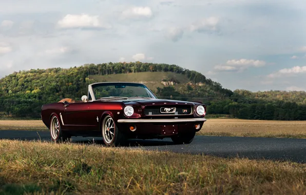 Картинка car, Mustang, Ford, burgundy, Ringbrothers, 1965 Ford Mustang Convertible, Ford Mustang Uncaged