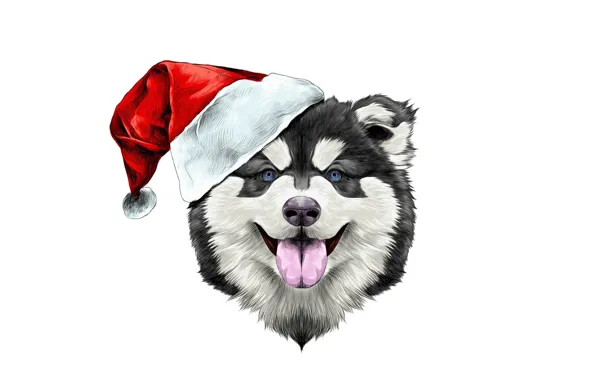 Картинка счастье, праздник, шапка, новый год, собака, шляпа, new year, happy