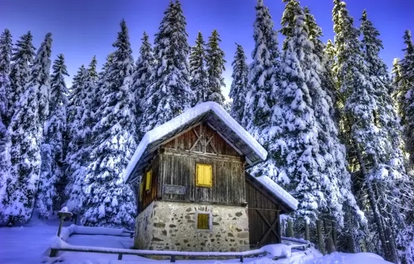 Картинка зима, снег, деревья, природа, ель, домик