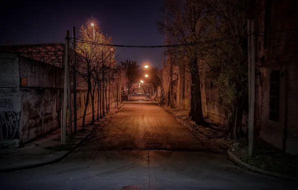 Argentina, night, street, Buenos Aires, lamp posts, urban scene