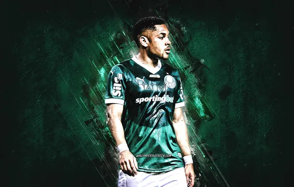 Brasil, Brazilian, Palmeiras, SE Palmeiras, Vitor Roque, Roque