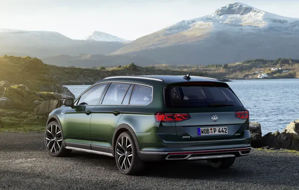 Картинка Volkswagen, задом, универсал, Passat, тёмно-зелёный, Alltrack, 2019