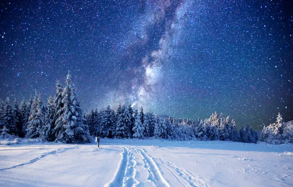 Картинка зима, лес, небо, звезды, снег, деревья, поляна, млечный путь
