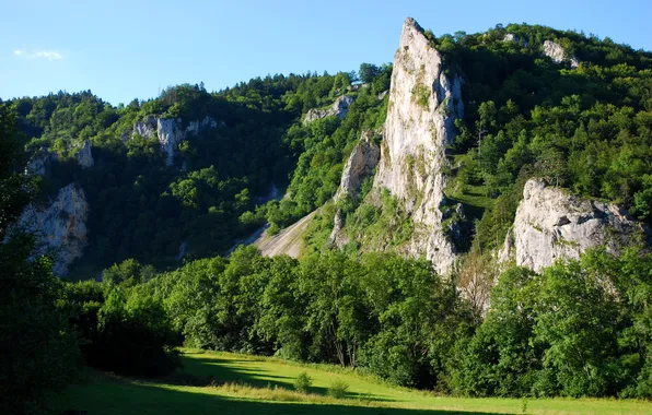 Зелень, лес, солнце, горы, природа