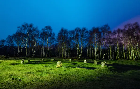 Картинка трава, деревья, ночь, камни, поляна, освещение, Великобритания, Stanton Moor