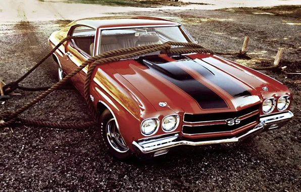 Картинка Chevrolet, Шевроле, канаты, Coupe, 1970, передок, 454, Chevelle