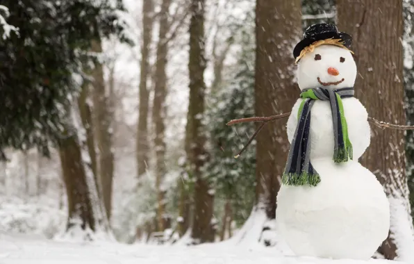 Картинка зима, снег, шляпа, морковка, шарф, снеговик, лес. деревья