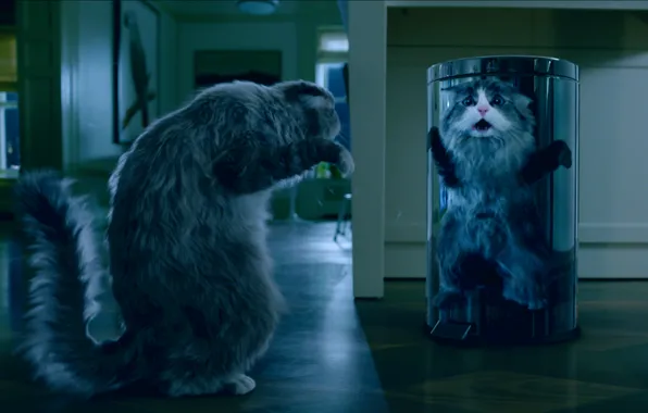 Фэнтези, комедия, семейный, Nine Lives, Девять жизней