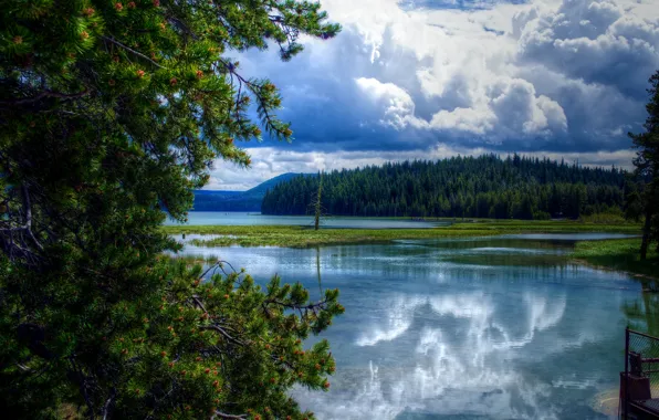 Картинка лес, облака, деревья, тучи, озеро, США, Oregon, East Lake
