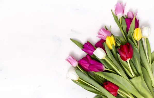 Цветы, colorful, тюльпаны, розовые, pink, flowers, tulips, spring