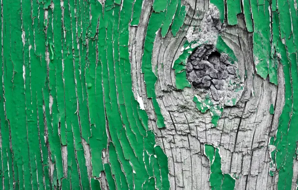 Картинка green, wood, pattern, gray
