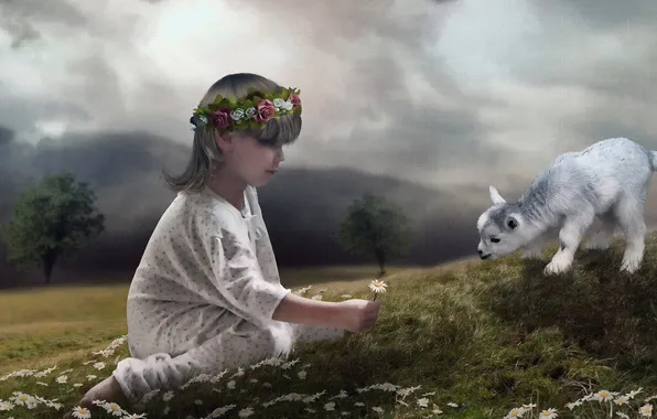 Картинка child, Daisies, Sheep, photomanipulate