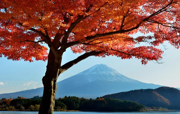 Картинка осень, небо, листья, деревья, озеро, Япония, гора Фудзияма