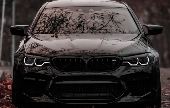 Картинка BMW, Black, Autumn, Sight, F90