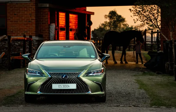 Lexus, 2018, 300h, Lexus ES
