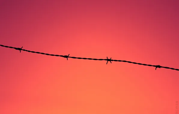 Sunset, fence, wire