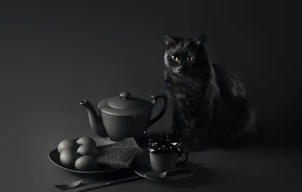 Картинка кошка, глаза, усы, взгляд, стол, фон, завтрак, мордочка