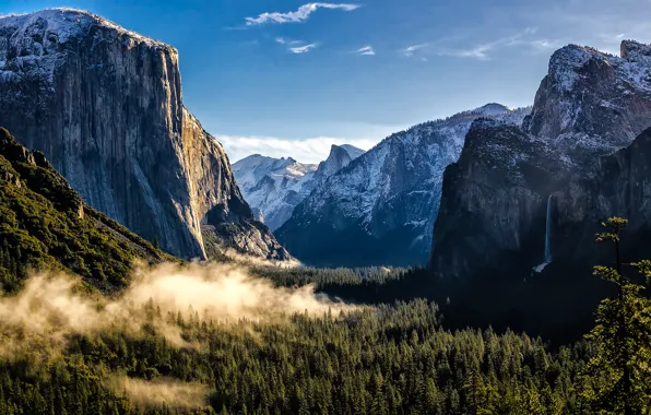 Лес, горы, USA, США, Национальный парк Йосемити, Yosemite National Park, State California, Штат Калифорния