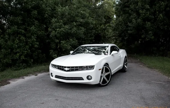 Картинка Chevrolet, Camaro, White, Wrapped, Stain