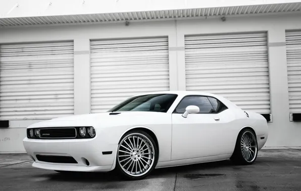 Картинка Dodge, Challenger, white