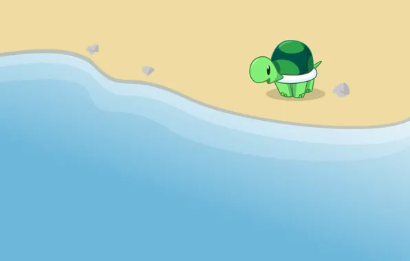 Картинка черепаха, море. берег