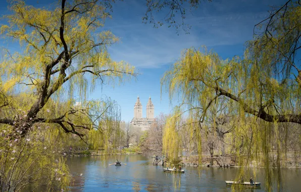 Картинка небо, деревья, пруд, люди, лодка, дома, весна, Нью-Йорк