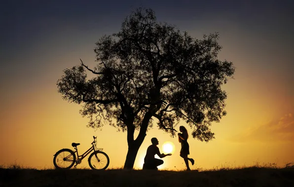 Девушка, солнце, велосипед, дерево, пара, парень, силуэты
