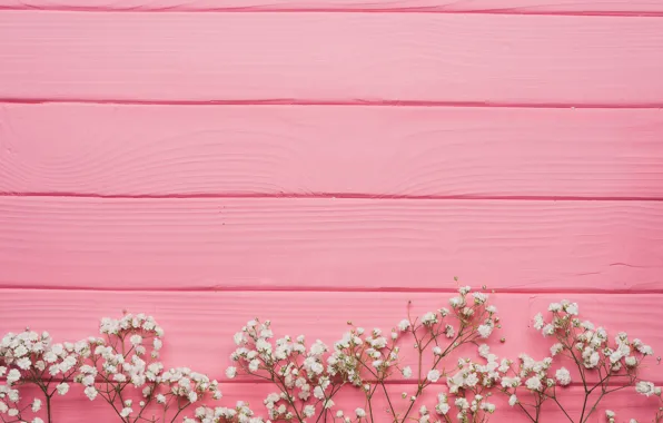 Картинка цветы, доски, белые, декор