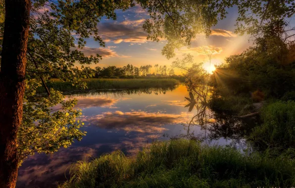 Картинка небо, солнце, деревья, закат, природа, река, Алексей Малыгин