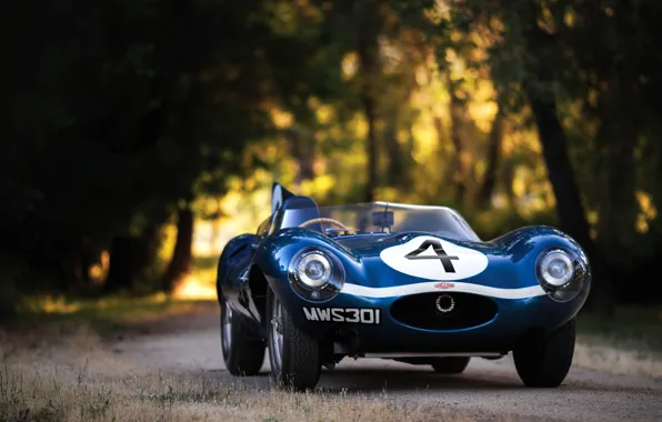 Blue, Race Car, Number, Jaguar D-Type