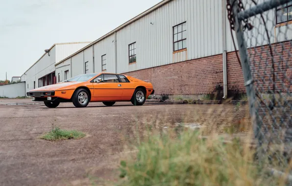 Lotus, Esprit, sports car, Lotus Esprit