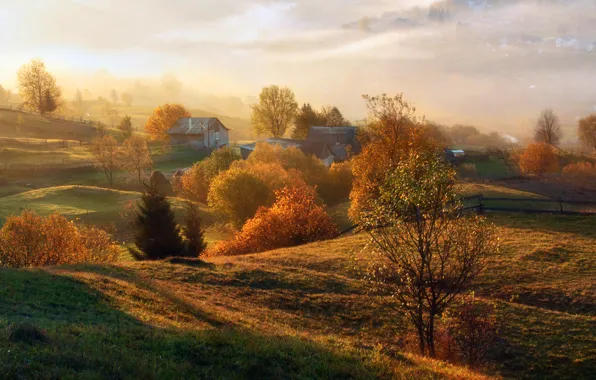 Картинка осень, солнце, деревья, туман, поля, простор, домики, заборы
