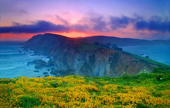 Картинка море, небо, облака, закат, цветы, скала, океан, Калифорния