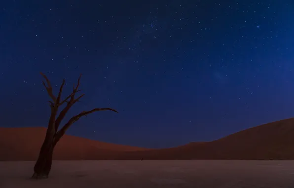 Картинка небо, пустыня, звёзды, дюны, sky, desert, stars, dunes