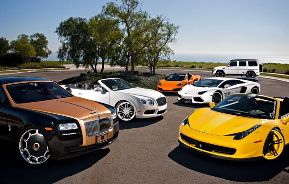 McLaren, Mercedes-Benz, Bentley, Continental, Lamborghini, Rolls-Royce, Ferrari, Ghost