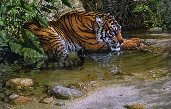 Картинка jungle, tiger, cat, painting, Lee Kromschroeder, thirsty, stream, beast of prey