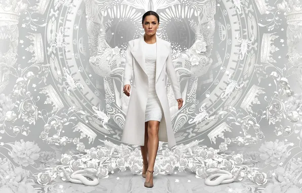 Взгляд, поза, фигура, сериал, постер, Alice Braga, Алисе Брага, Queen of the South