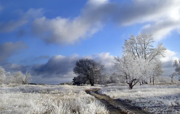 Картинка зима, дорога, поле, деревья