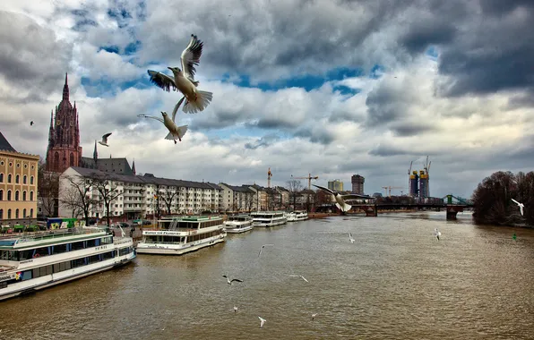 Картинка небо, облака, мост, река, птица, корабль, дома, Германия
