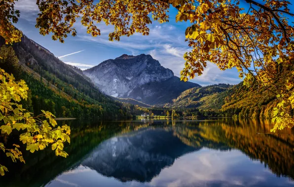 Картинка осень, горы, ветки, озеро, отражение, Австрия, Альпы, Austria