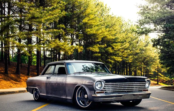 Chevrolet, Nova, 1963, Wheels, Rodster, Forgeline